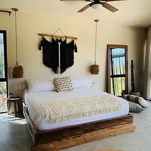  Apartment Vida Boho 12 With Special Fee To Access Bardo Mexico