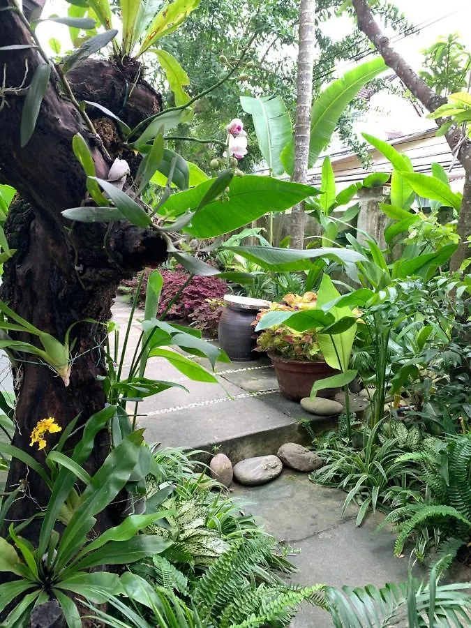 Sunny Garden Homestay هوي ان