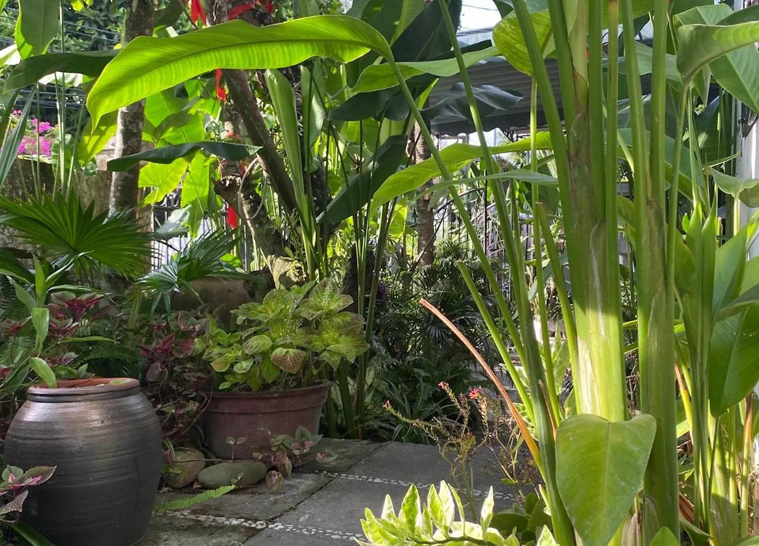 Sunny Garden Homestay هوي ان