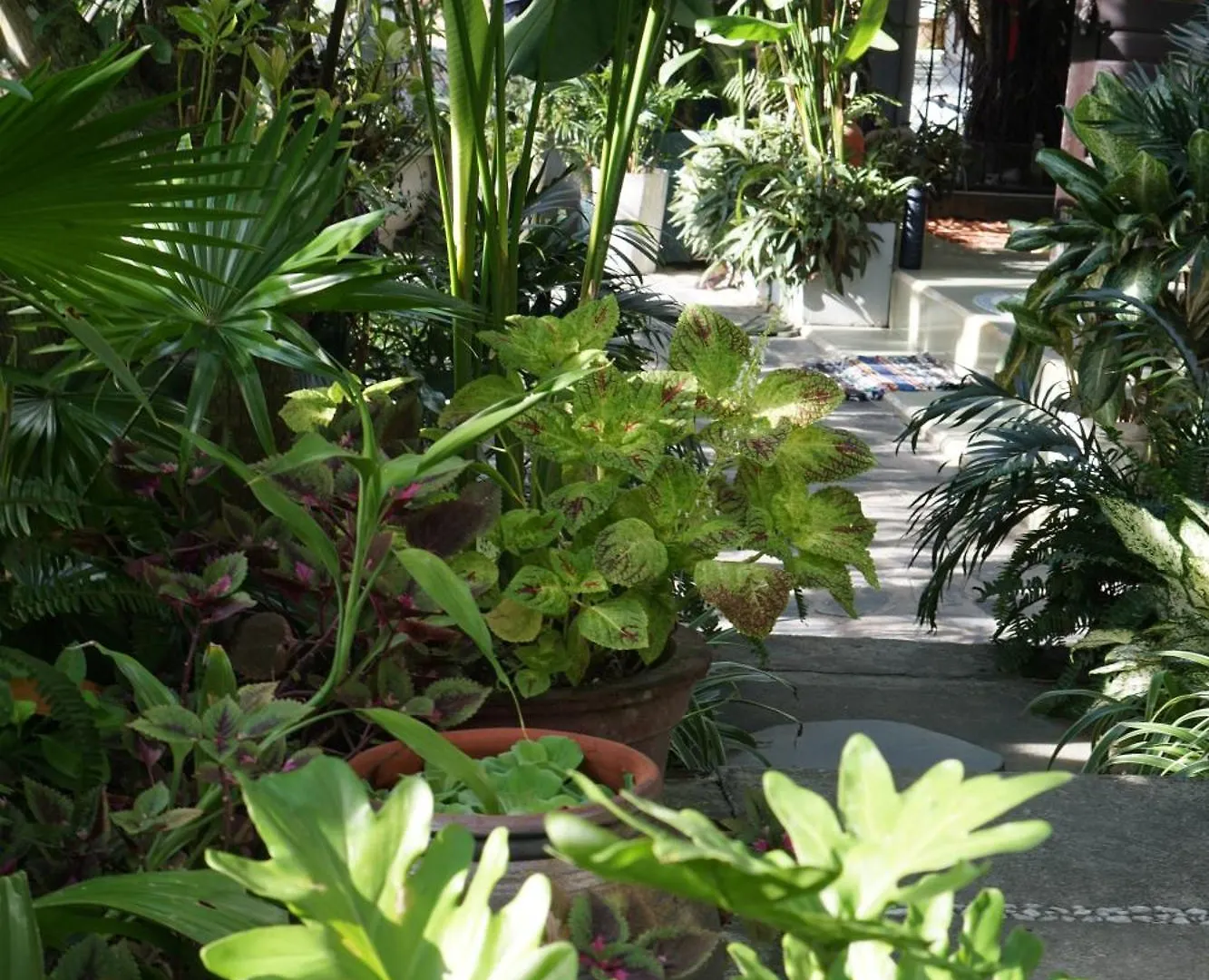 Sunny Garden Homestay Hoi An